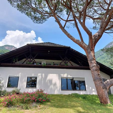 Villa Pinie Apt 1 Terlano Exterior foto